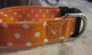 Montana Grrl Critter Gear - Orange Polka Dots Collar