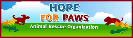 Hope For Paws