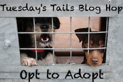 Tuesdays Tails Blog Hop