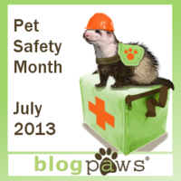 BlogPaws Pet Safety Month