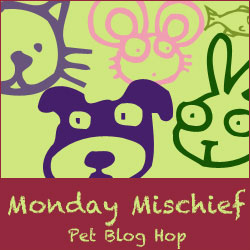 monday morning blog hop