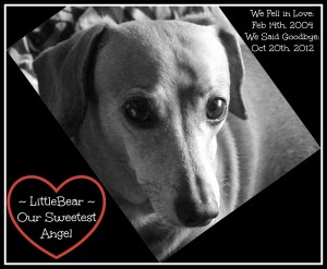 LittleBear - We Miss You More Than Words Can Say