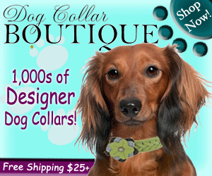 Dog Collar Boutique