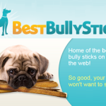 BestBullySticks.com