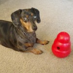 Li’l Girl With Kong Wobbler