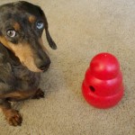 Li’l Girl With Kong Wobbler