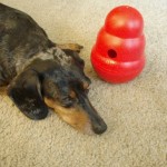 Li’l Girl With Kong Wobbler