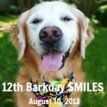 Sugar’s 12th BarkDay Blog Hop