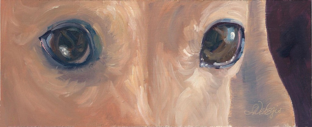 LittleBear - Eyes Painting