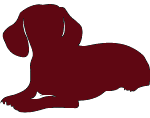 Dachshund1