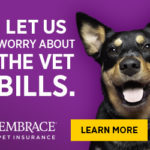 Embrace Pet Insurance