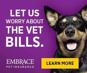 Embrace Pet Insurance | Dachshund Rescue List